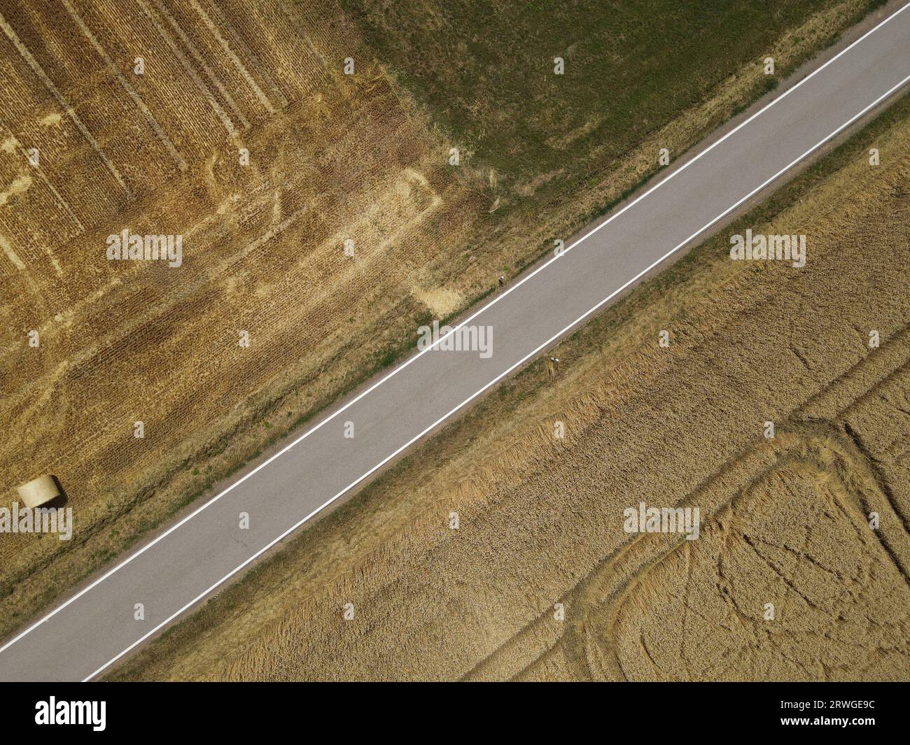 Vue aérienne d'une route entre les champs de culture et d'herbe dans le paysage Banque D'Images