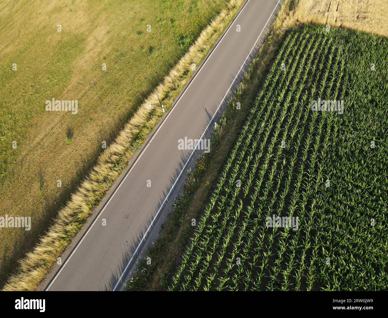 Vue aérienne d'une route entre champs de culture dans la campagne Banque D'Images
