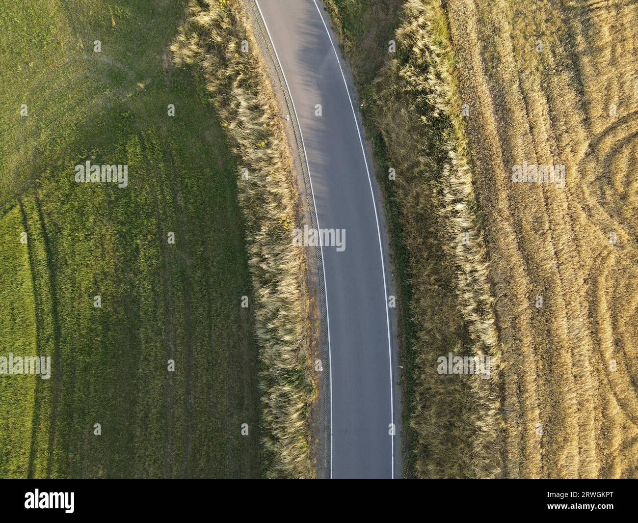 Vue de dessus d'une route entre les champs de culture jaune et vert dans le paysage Banque D'Images