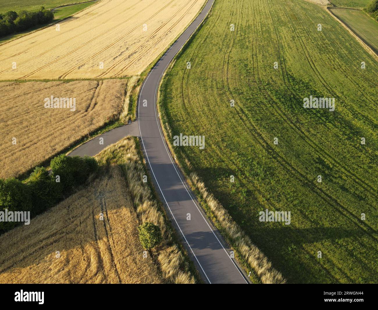 Vue de dessus d'une route entre les champs de culture jaune et vert dans le paysage Banque D'Images