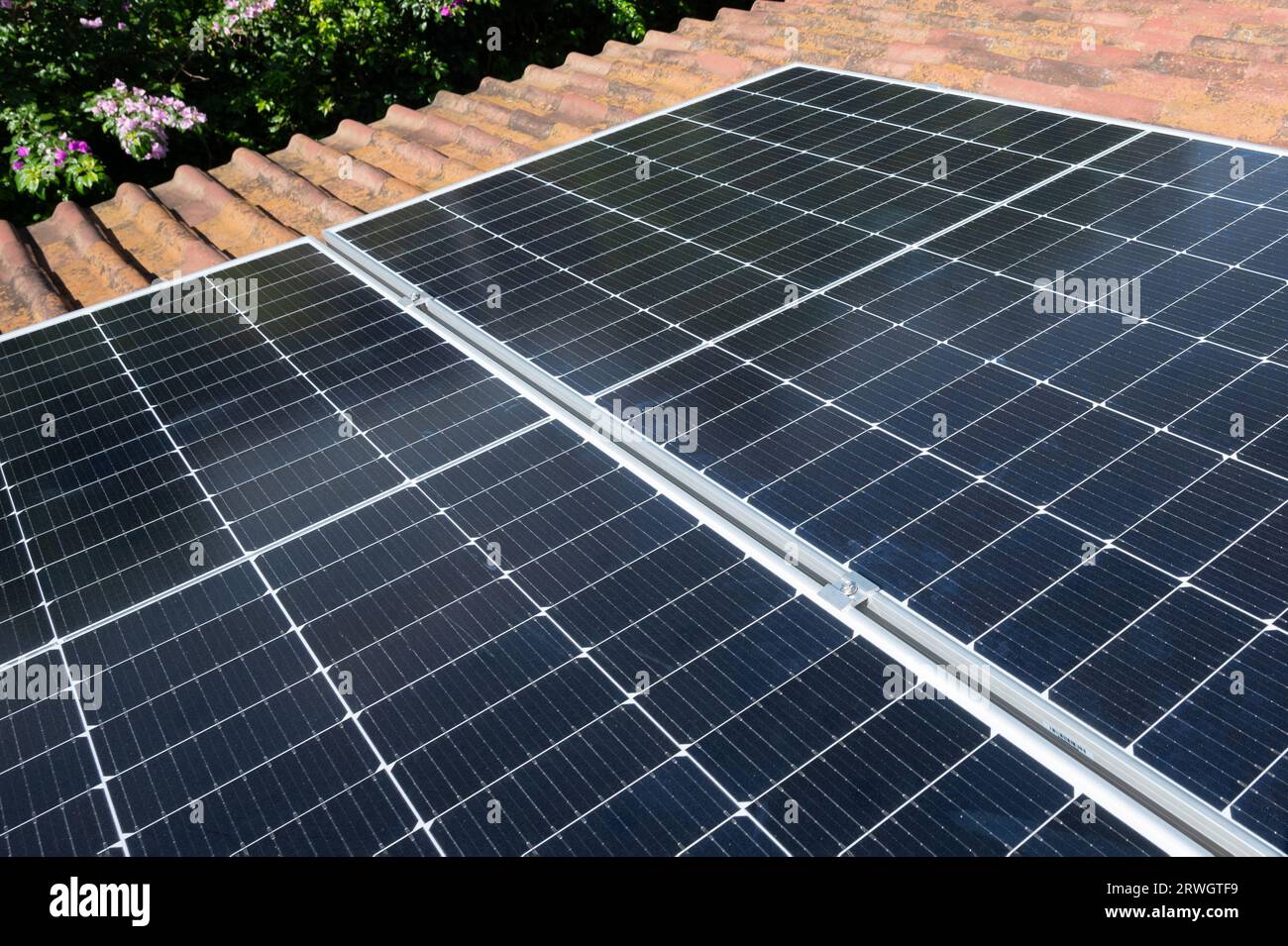 Panneaux solaires sur toit hosue en argile avec fond de feuilles vertes Banque D'Images