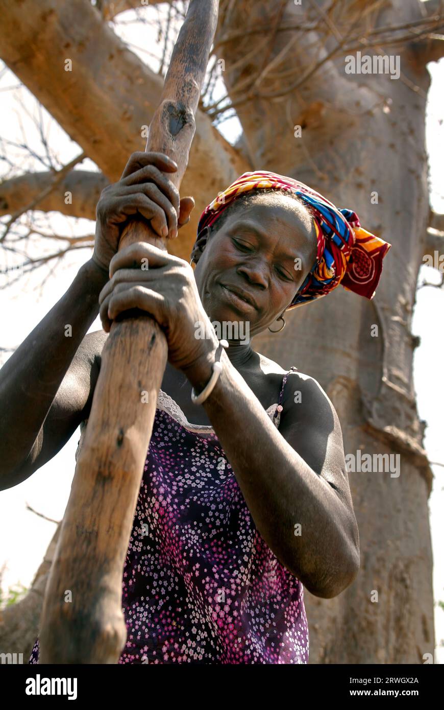 Femme pilonnant le millet, sorgoum à l'aide de mortier et de pestel. Sénégal, Afrique Banque D'Images
