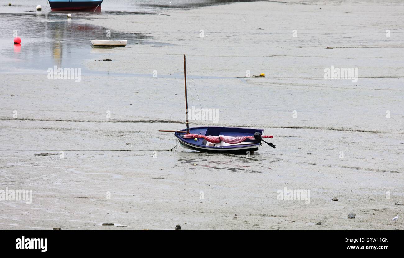 Bateau échoué sur une plage boueuse sans eau à marée basse dans le nord de la France Banque D'Images