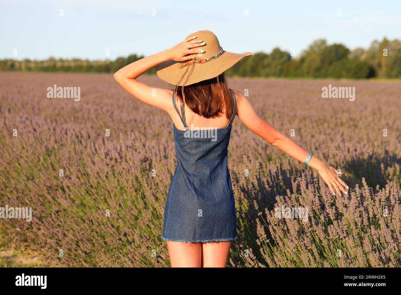 jeune mannequin portant un chapeau de paille et habillé en jeans dans le champ de lavande au coucher du soleil Banque D'Images