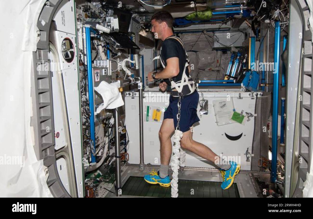EXERCICE ASTRONAUTE Expedition 40 ingénieur de vol Reid Wiseman soutenu par un exercice de harnais élastique sur un tapis roulant en 2017. Photo : NASA Banque D'Images