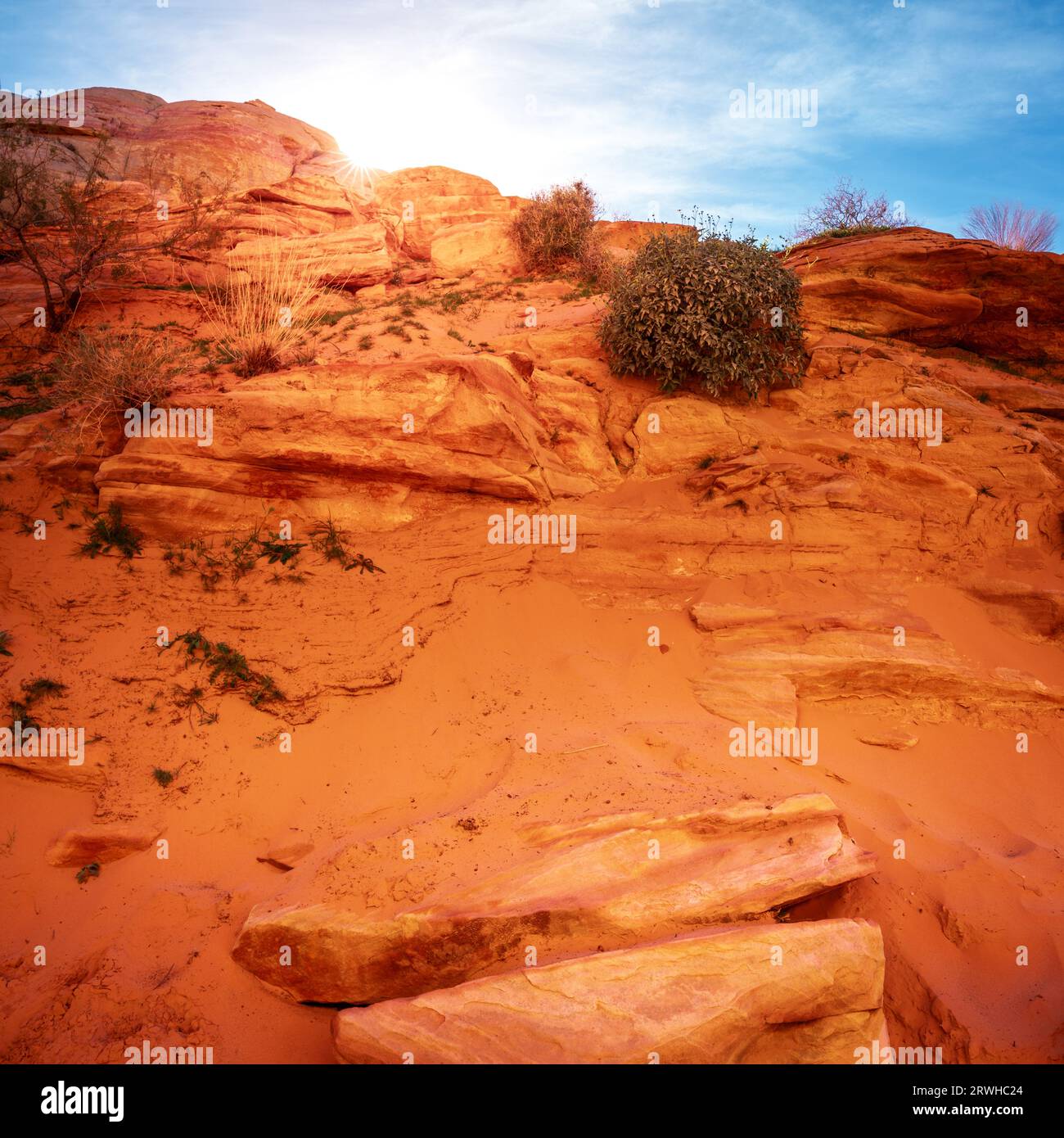 Soleil couchant derrière des formations rocheuses dans le parc d'État de Valley of Fire dans le Nevada Banque D'Images