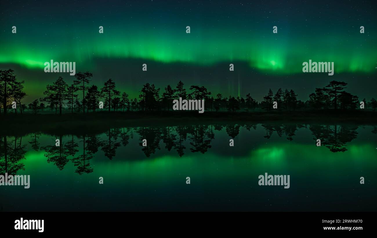 Lumières vertes aurora borealis réfléchies à la surface d'un petit lac dans les bois en Finlande Banque D'Images