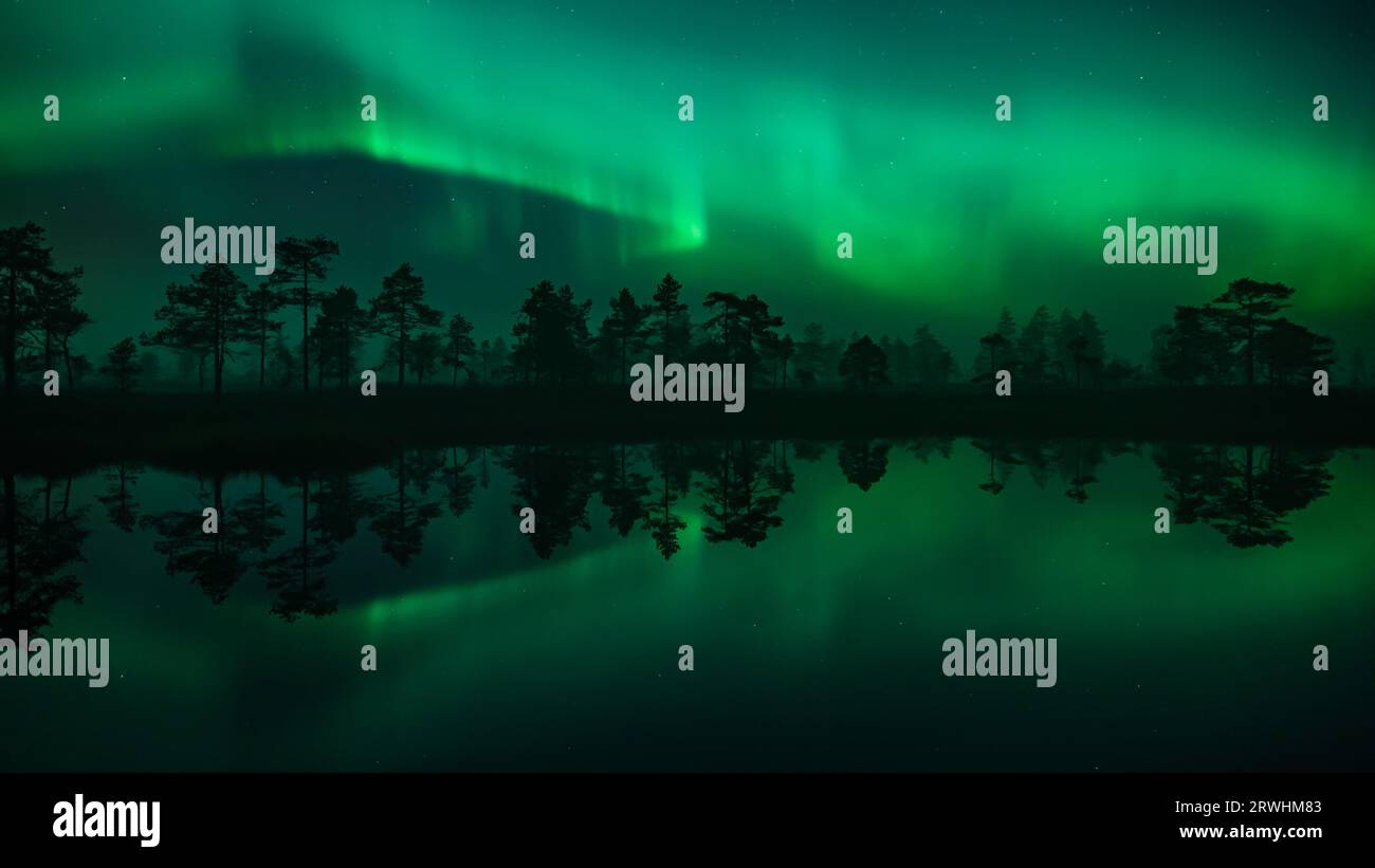 Lumières vertes aurora borealis réfléchies à la surface d'un petit lac dans les bois en Finlande Banque D'Images