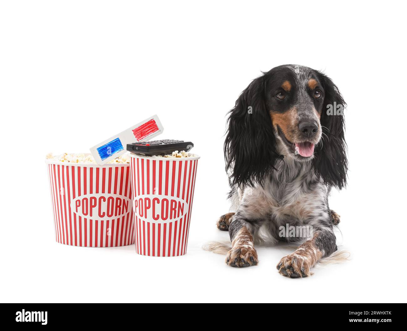 Mignon chien Cocker Spaniel avec des seaux de pop-corn, lunettes de cinéma 3D et télécommande de télévision couchée sur fond blanc Banque D'Images