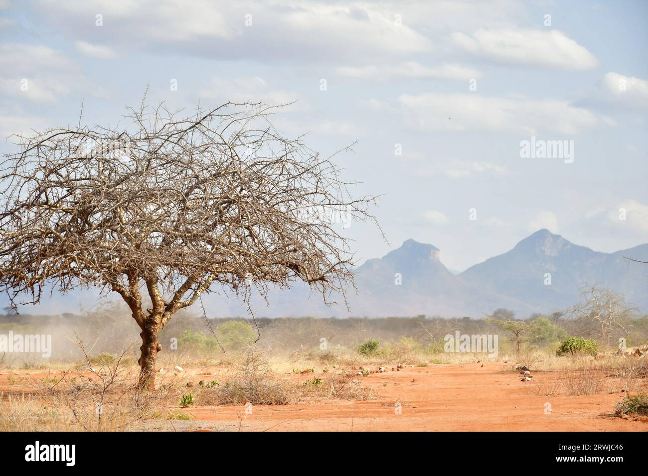 Échapper à la nature Banque D'Images