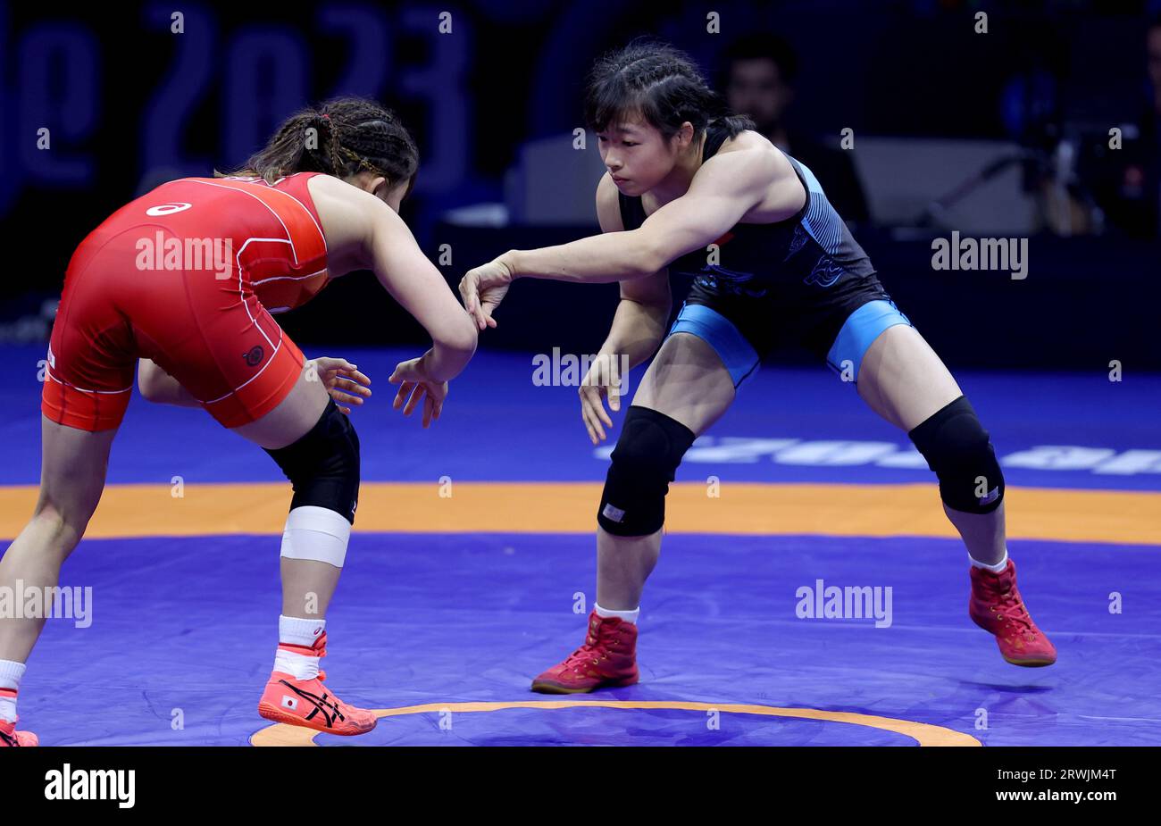 Belgrade. 19 septembre 2023. La chinoise Feng Ziqi (R) et la japonaise Susaki Yui concourent lors de leur demi-finale féminine de catégorie nage libre de 50 kg aux Championnats du monde de lutte 2023 à Belgrade, en Serbie, le 19 septembre 2023. Crédit : Predrag Milosavljevic/Xinhua/Alamy Live News Banque D'Images