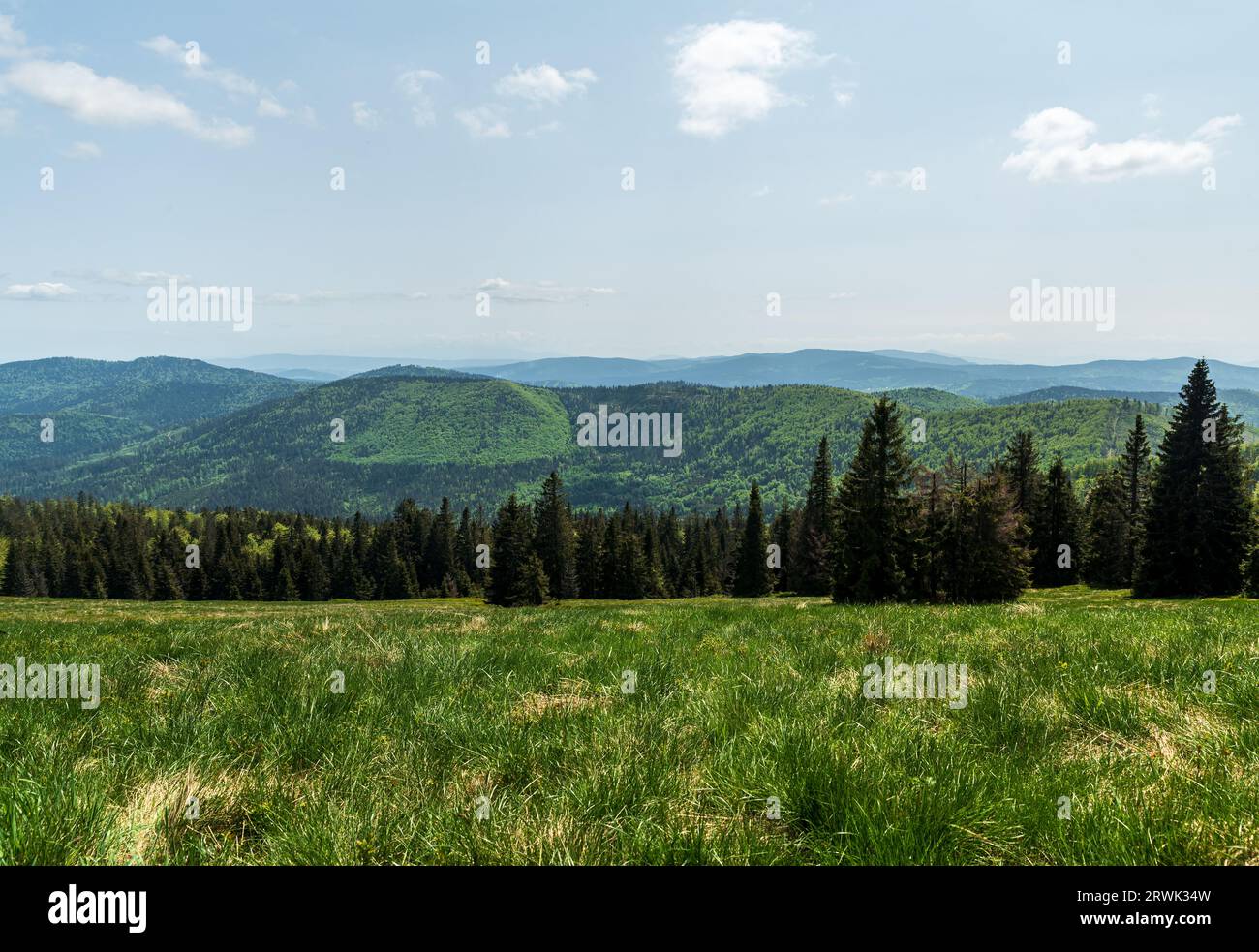 Vue de Hala Rycerzowa au printemps Beskid Zywiecki montagnes en Pologne près des frontières avec la Slovaquie Banque D'Images