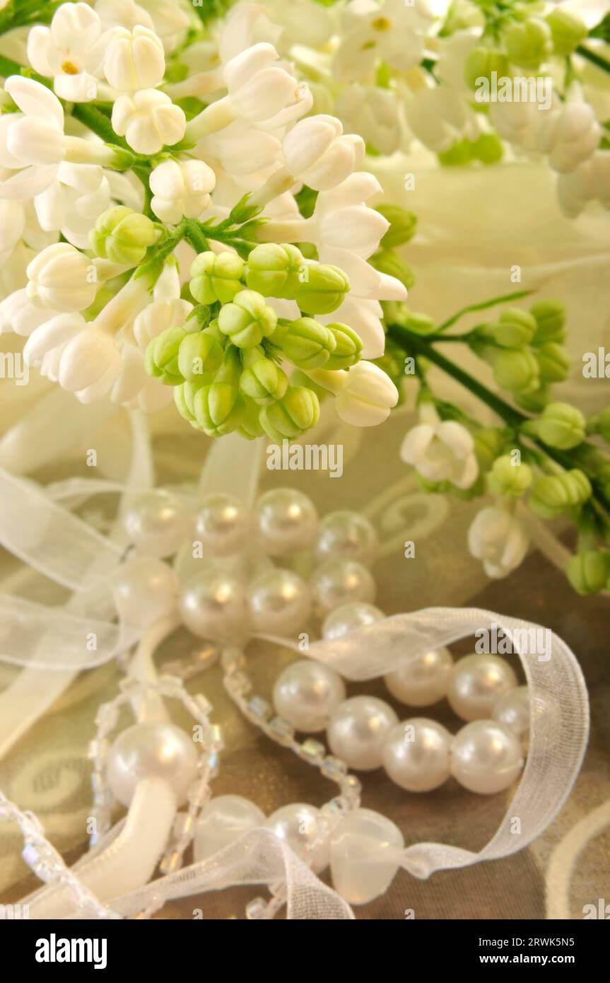 Lilas blanc sur tulle et collier de perles, décoration de mariage Banque D'Images