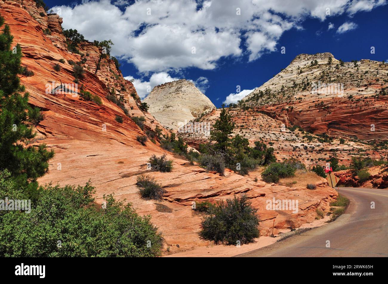 Route solitaire dans le parc national de Zion, Utah, États-Unis Banque D'Images