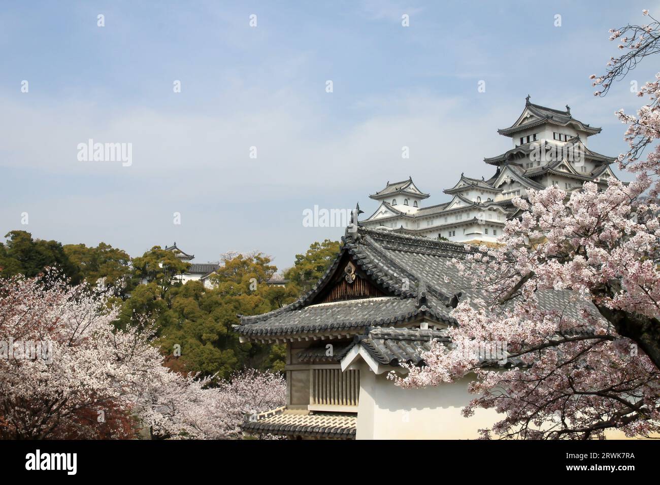 Château de Himeji pendant la saison des cerisiers en fleurs au Japon Banque D'Images