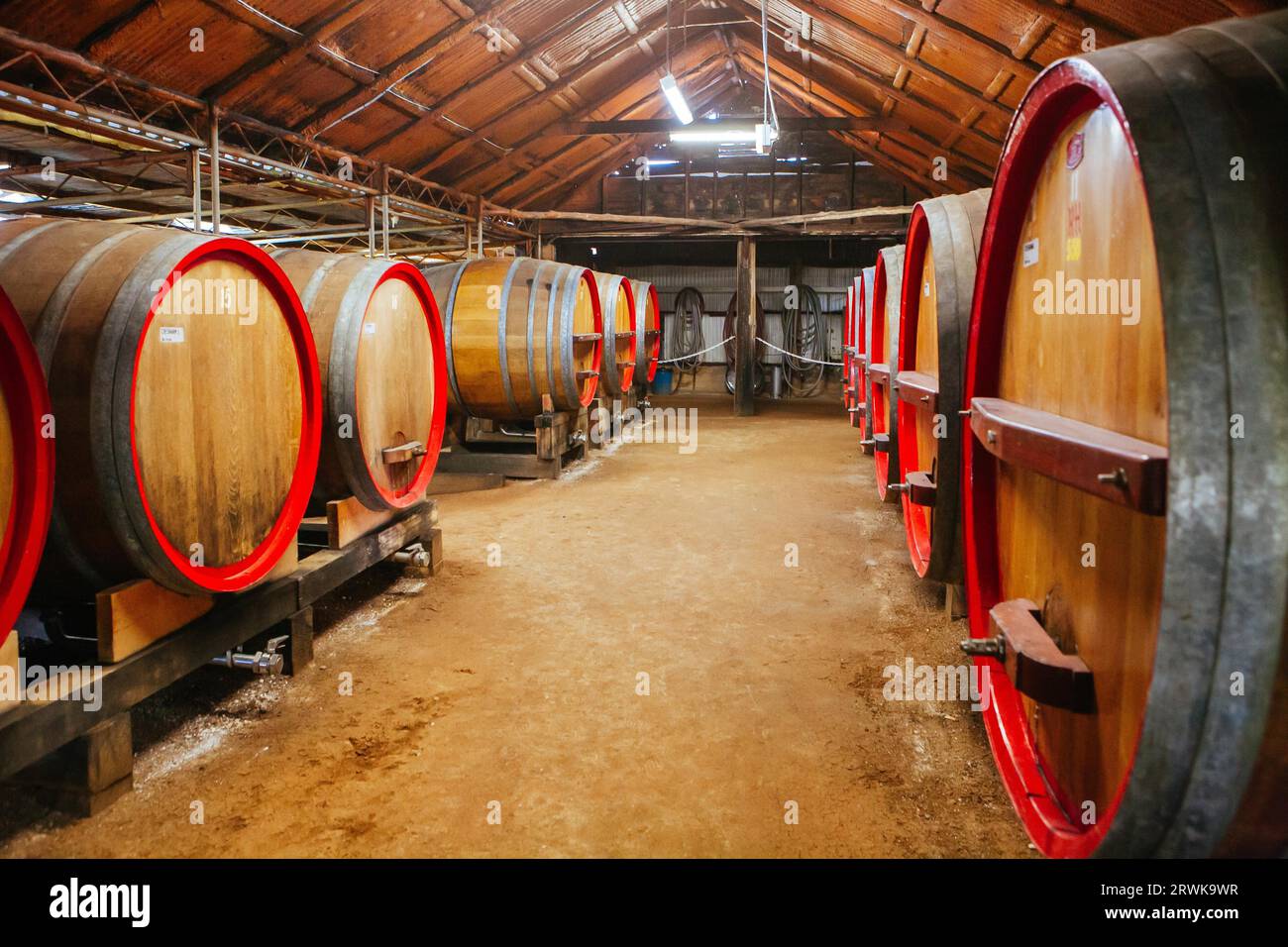 Pokolbin, Australie, août 29 2009 : barils de vin vieillissant le vin chez Tyrrell's Wines dans la Hunter Valleu en Nouvelle-Galles du Sud, Australie Banque D'Images