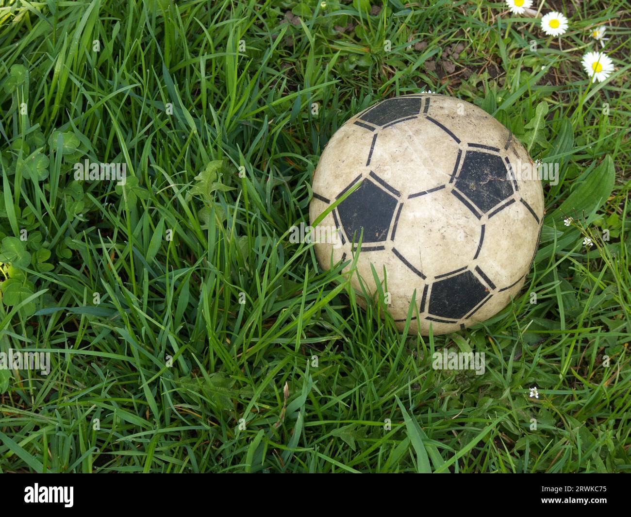 Football allongé dans l'herbe verte Banque D'Images