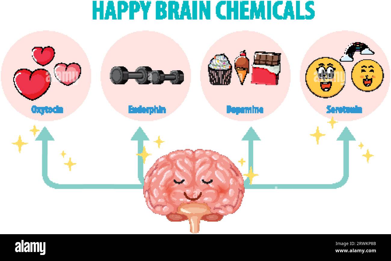 Illustration des produits chimiques heureux du cerveau en anatomie humaine Illustration de Vecteur