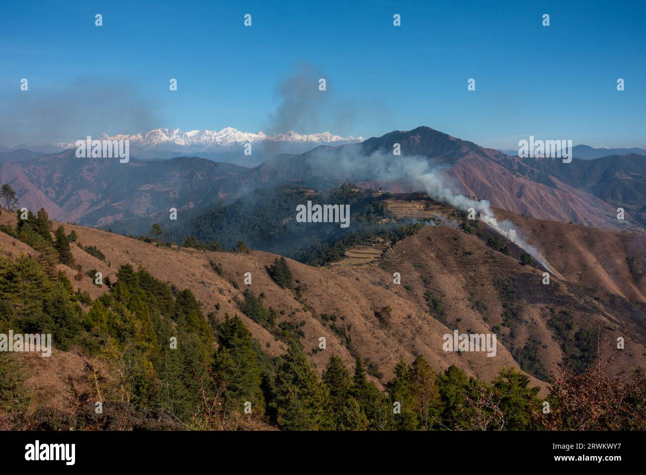 Les feux de forêt montagneux d'été engloutissent le terrain de l'Himalaya supérieur de l'Uttarakhand dans la région de Tehri Garhwal, en Inde, soulignant l'impact du climat Banque D'Images