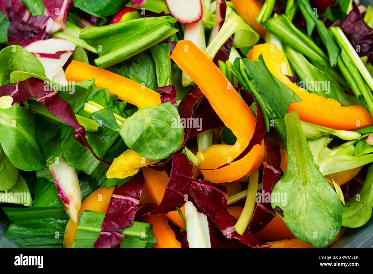 Salade verte naturelle de printemps avec légumes et feuilles d'ail sauvage ou d'ail sauvage. La nourriture Banque D'Images
