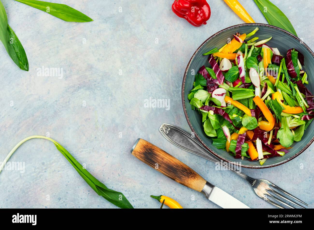 Salade verte avec légumes et poireaux ou ail sauvage. Alimentation saine des plantes de printemps. Espace pour le texte Banque D'Images
