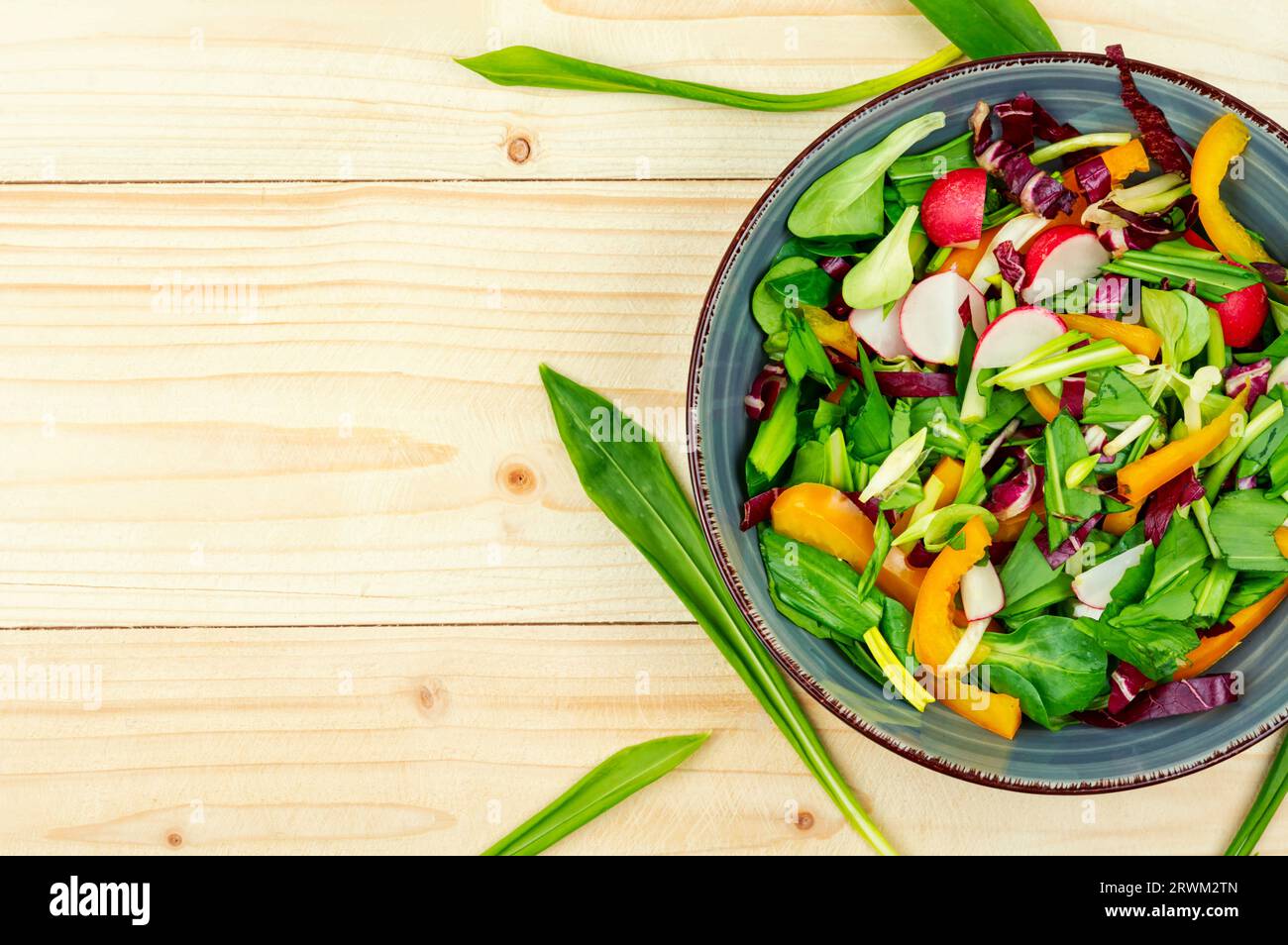 Salade verte de printemps vitaminée avec légumes et poireaux ou ail sauvage. Copier l'espace Banque D'Images