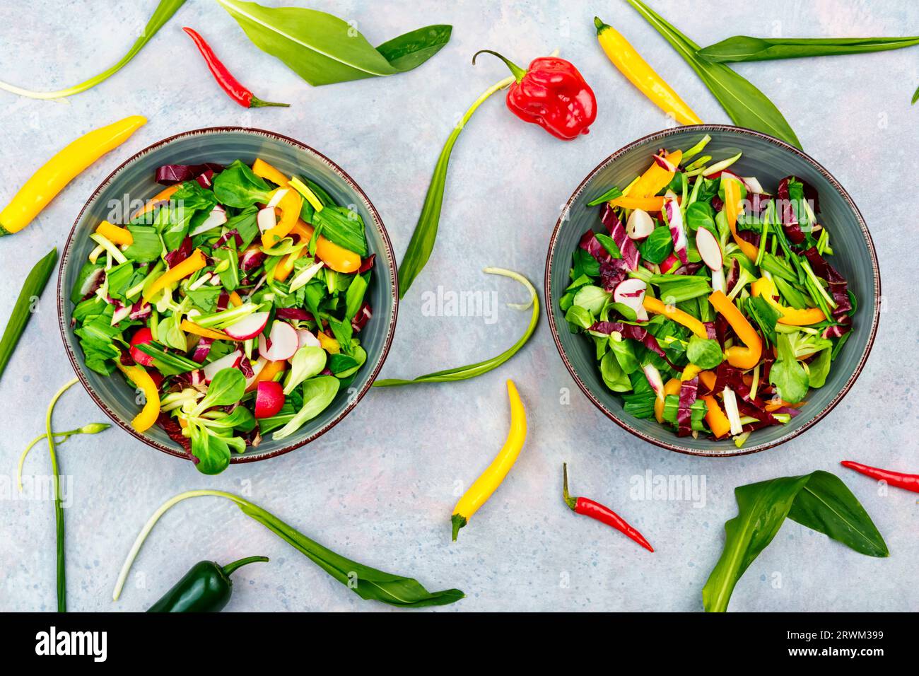 Salade verte fraîche avec légumes et poireaux ou ail sauvage. Pose à plat. Déjeuner coloré Banque D'Images