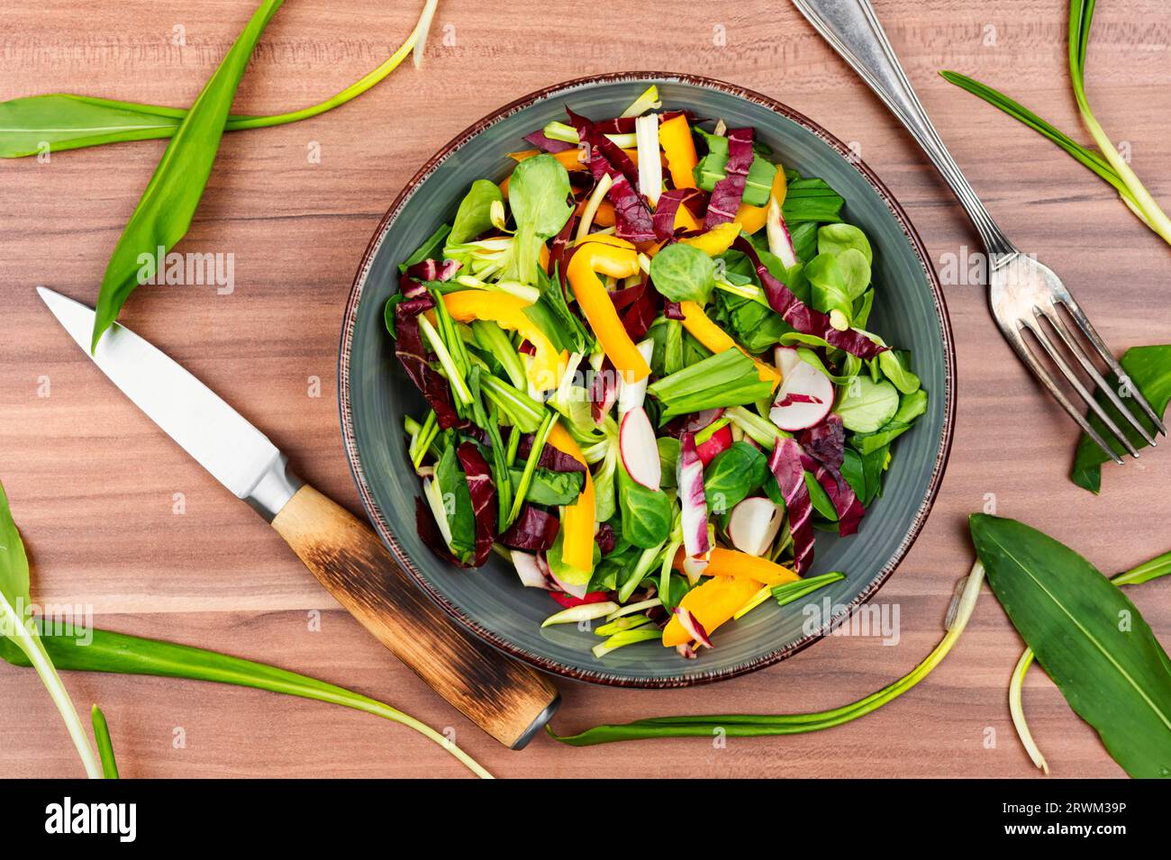 Bol à salade sain avec légumes et poireaux ou ail sauvage sur une planche de bois rustique. Banque D'Images