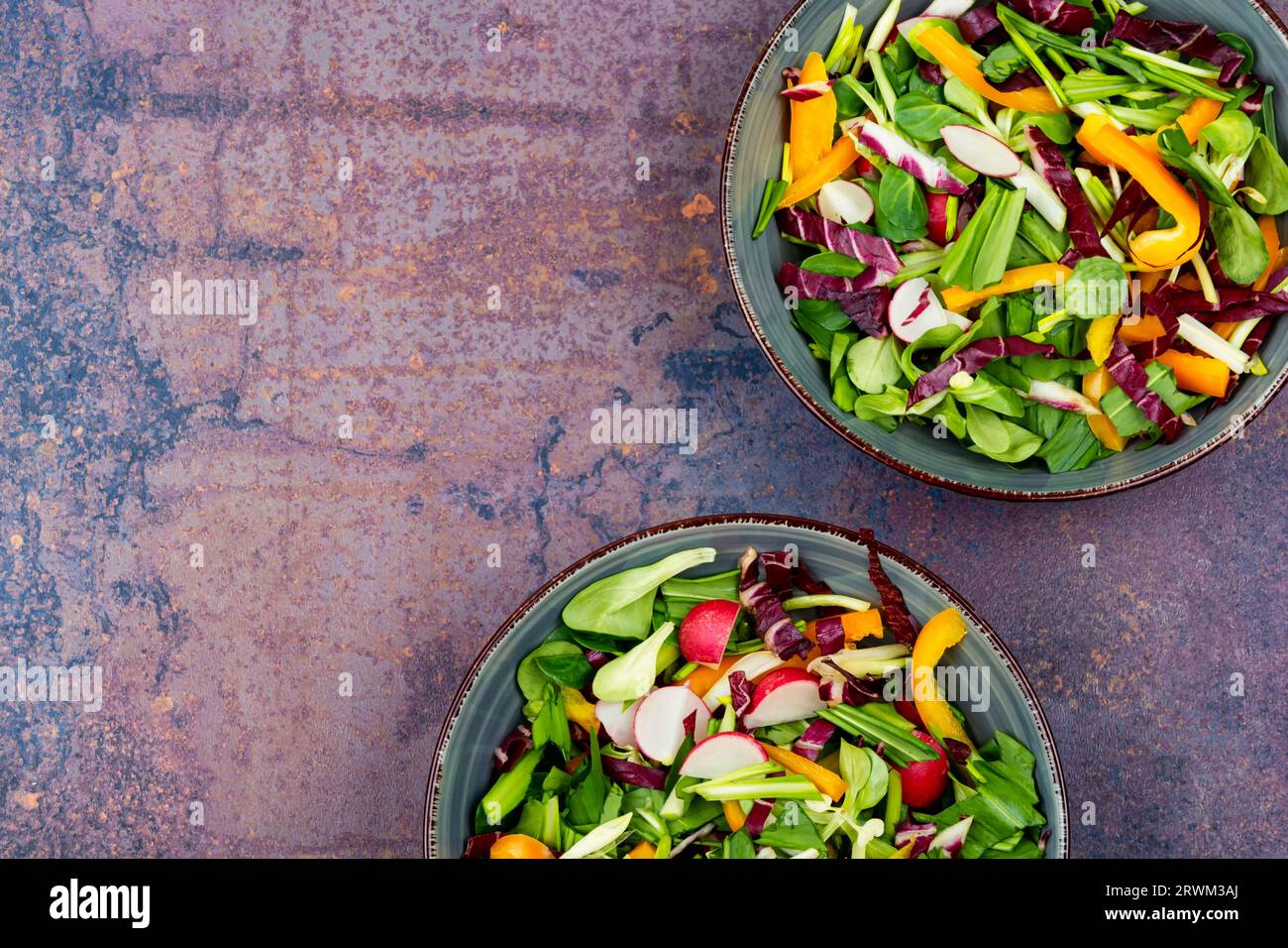 Salade verte de printemps vitaminée avec légumes et poireau d'ours ou ail sauvage. Espace de copie, Banque D'Images