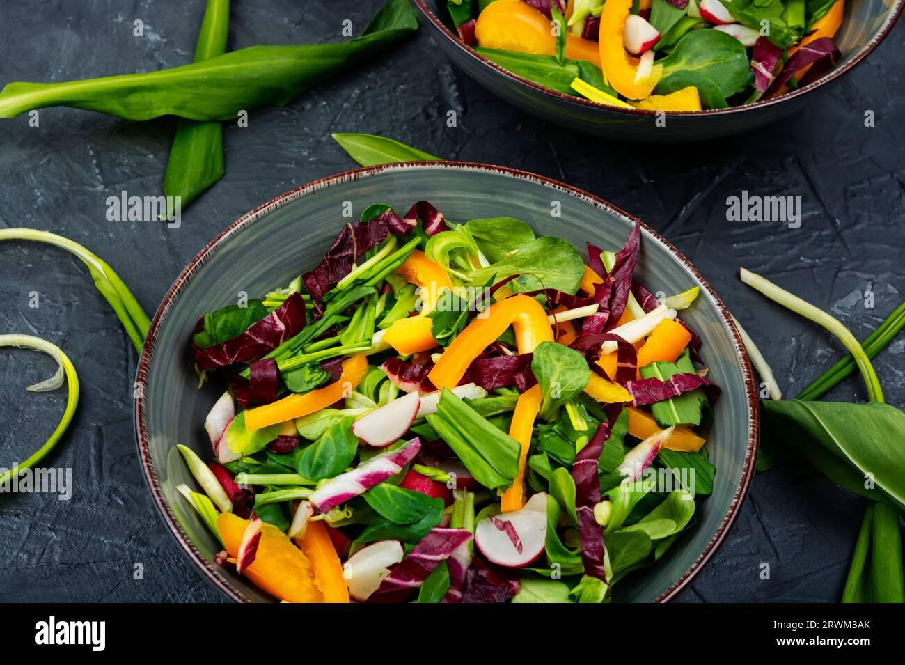 Salade verte avec légumes et poireau d'ours ou ail sauvage. Nourriture diététique de printemps saine Banque D'Images