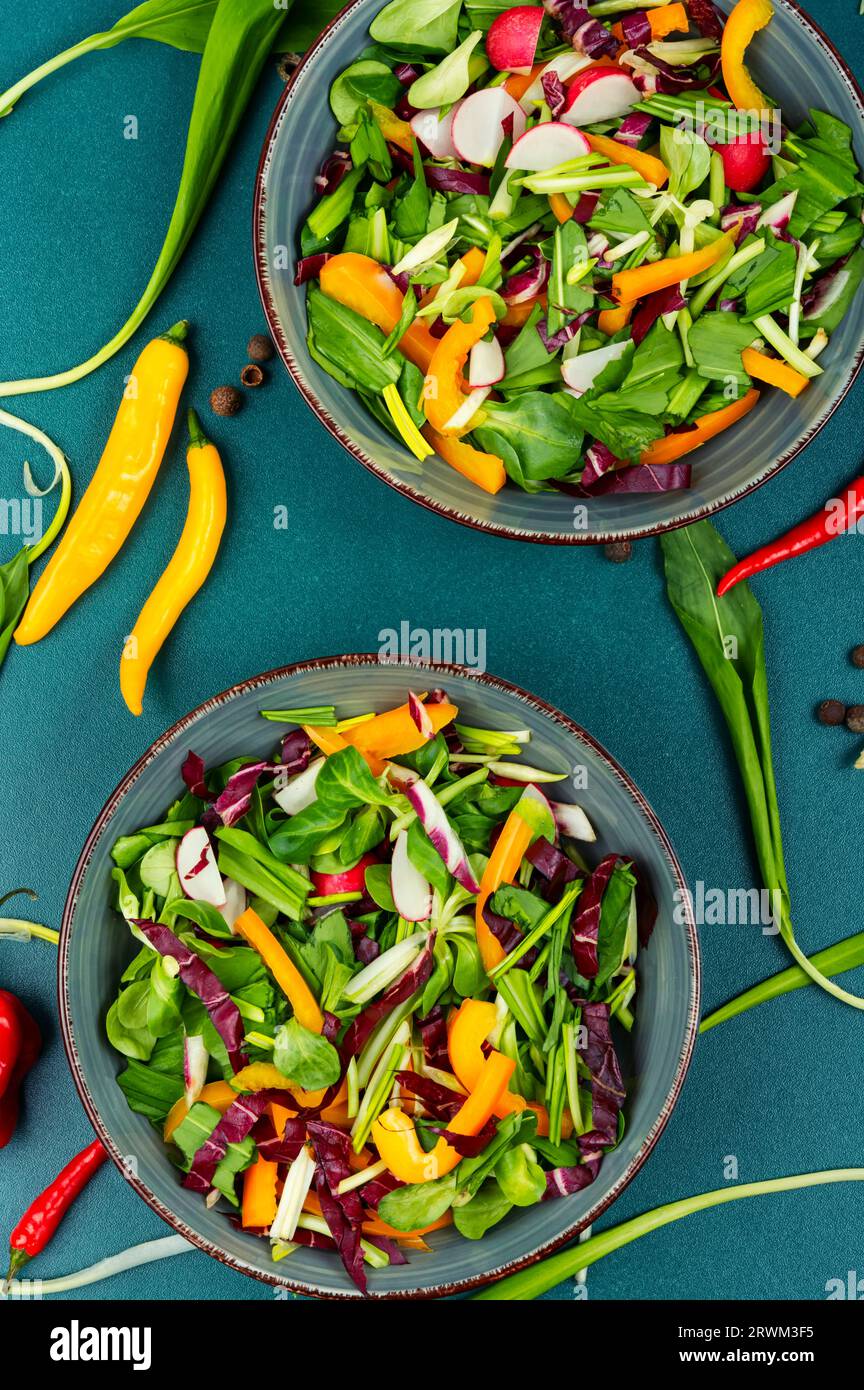 Salade verte avec légumes et poireau d'ours. Nourriture végétarienne, déjeuner coloré Banque D'Images