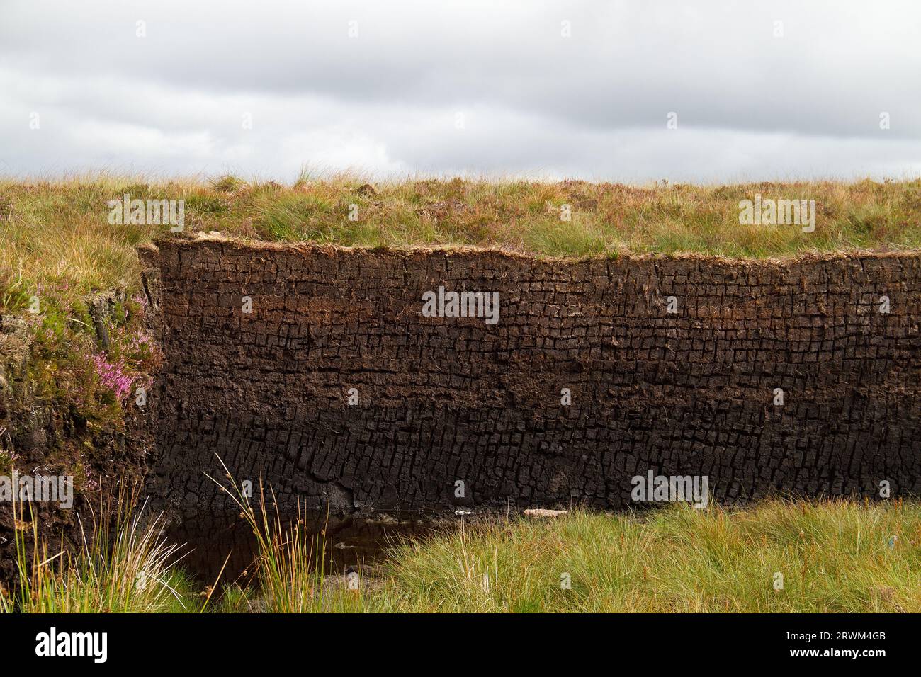 Un tas de blocs de tourbe, fraîchement coupés, dans un paysage irlandais Banque D'Images