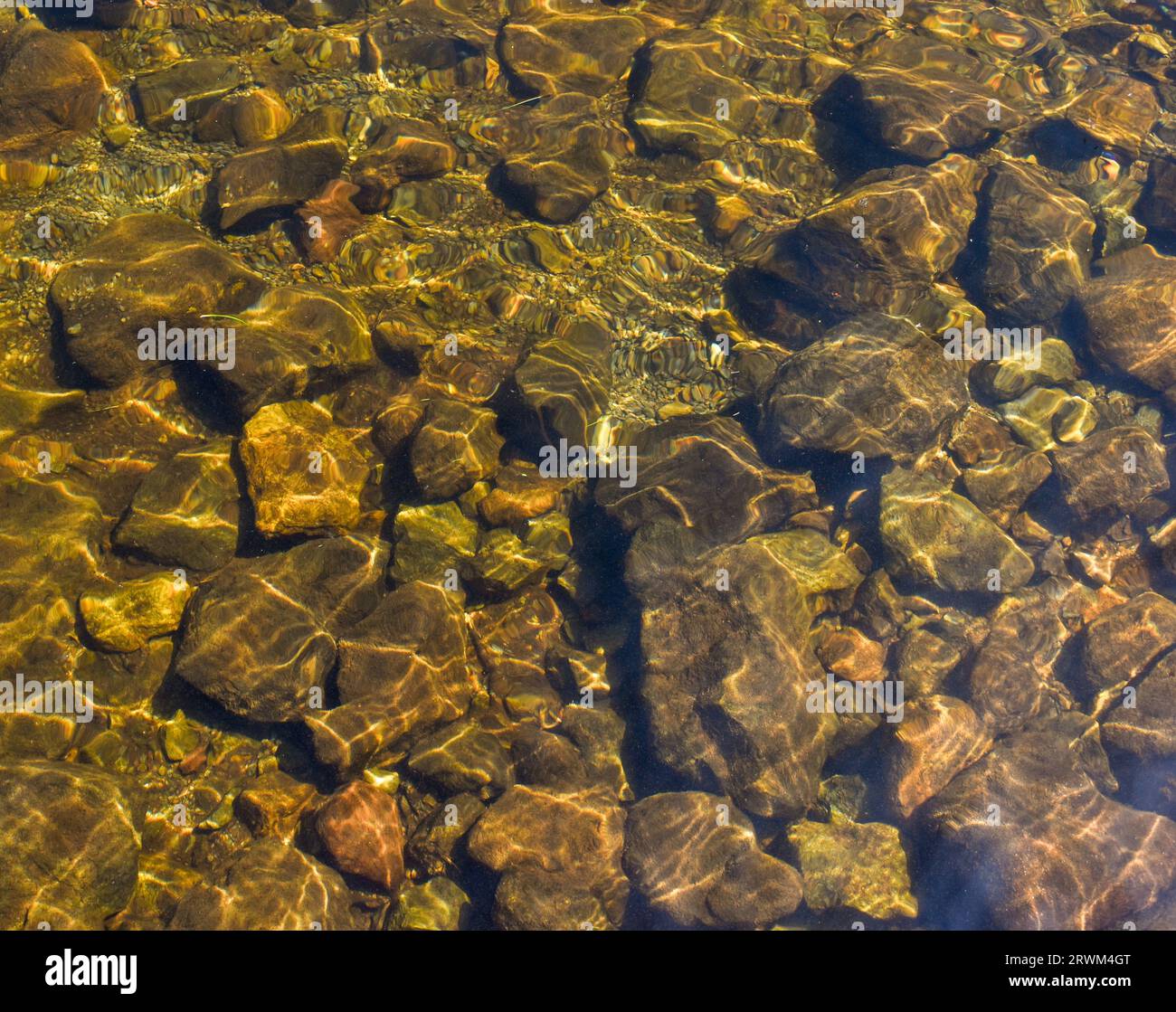 Les roches, les pierres et les sédiments au fond d'un lac, visibles à travers son eau claire par une journée ensoleillée. Banque D'Images