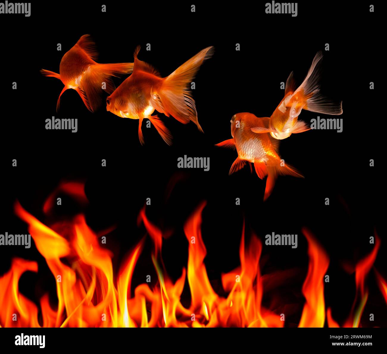 Image CGI de poissons rouges et de flammes représentant une menace environnementale Banque D'Images