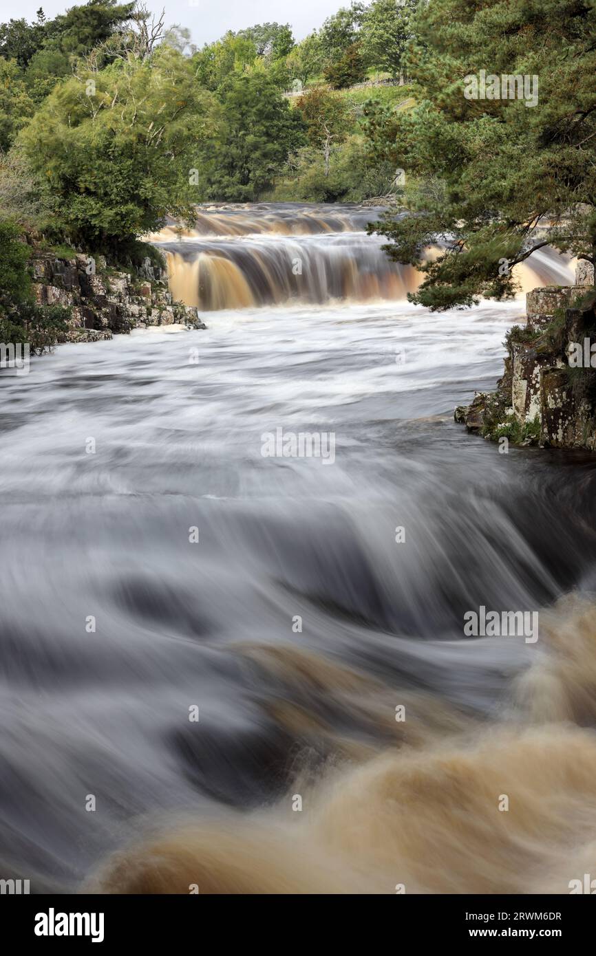 Force faible en inondation après que les restes de l'ex-ouragan Lee ont apporté Heavy Rain dans la région, River Tees, Bowlees, Teesdale, County Durham, ROYAUME-UNI Banque D'Images