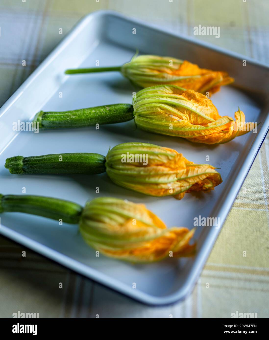 quatre fleurs de courgettes sont délicatement disposées sur une assiette blanche. Les fleurs orange vibrantes et vert clair se transforment gracieusement en tiges vertes, SH Banque D'Images