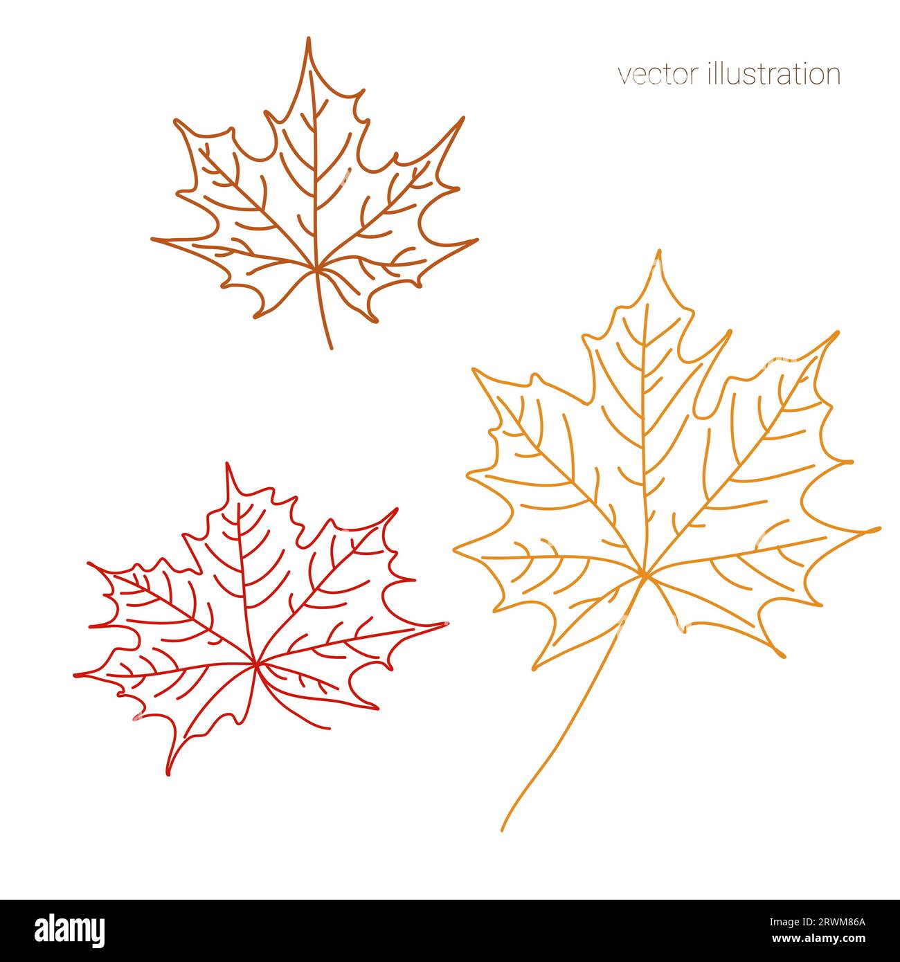 Vector Set de feuilles d'automne dessinées à la main d'érable dans les graphiques Illustration de Vecteur