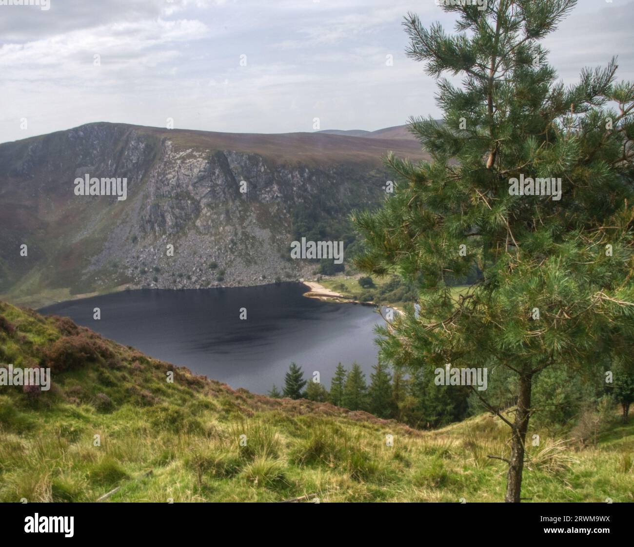 sallys gap wicklow, irlande, Banque D'Images