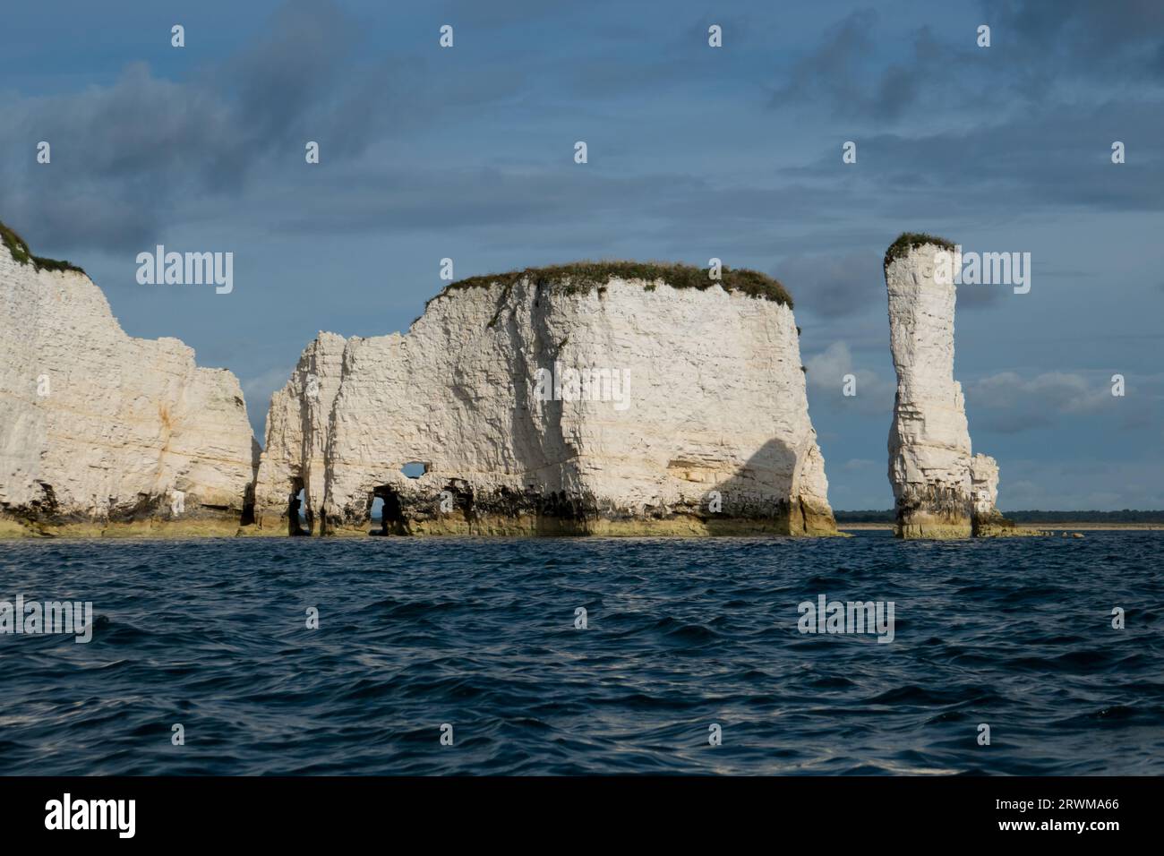 Europe, Royaume-Uni, Angleterre, Dorset, Studland, Pinnacles Banque D'Images