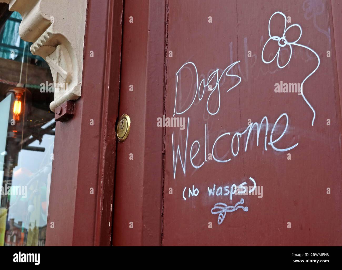 Café avec chiens signe de bienvenue (mais pas de guêpes) ! - Horsemarket, château de Barnard - Comté de Durham, Angleterre, DL12 8LY Banque D'Images