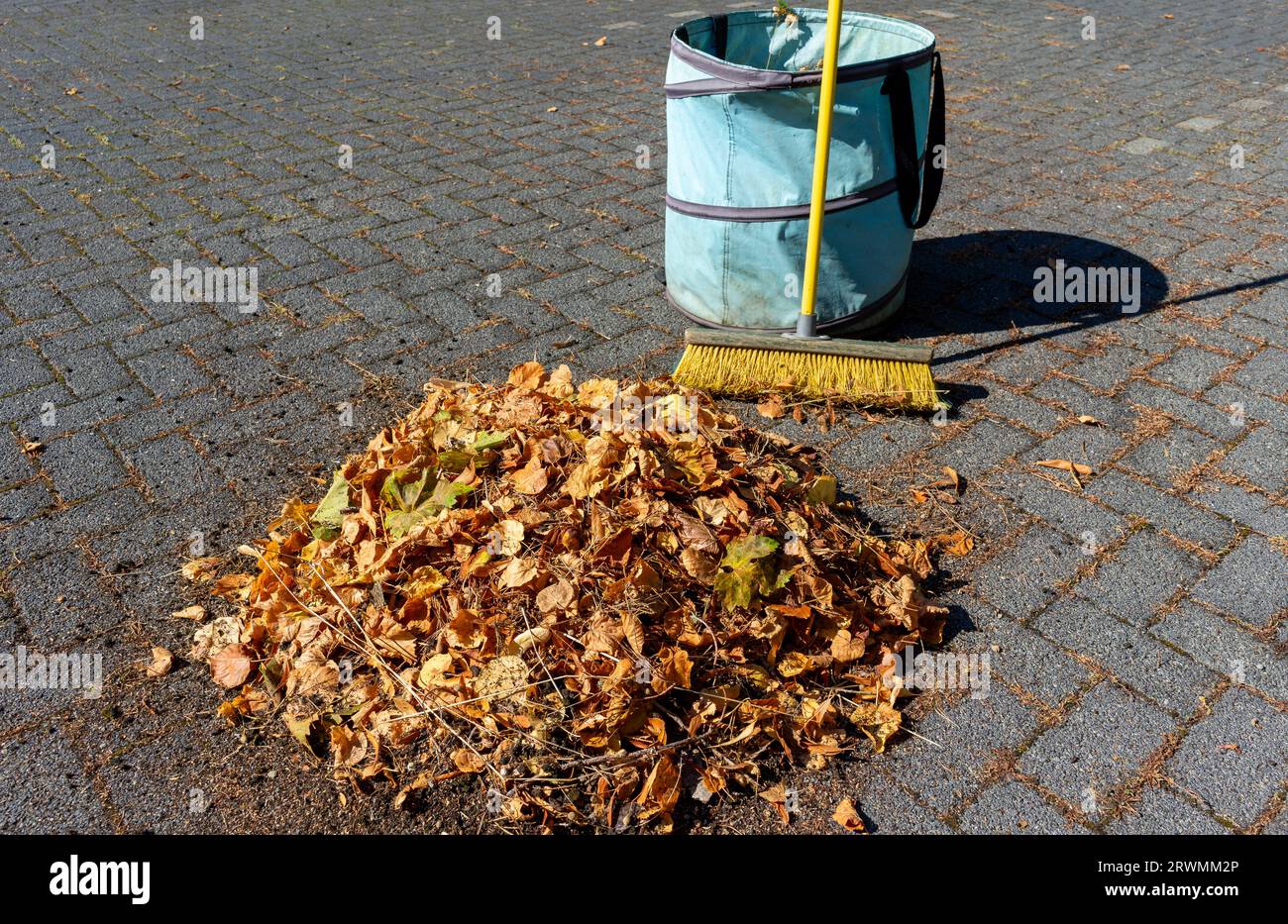 Pile de feuilles avec balai et panier dans un parc Banque D'Images