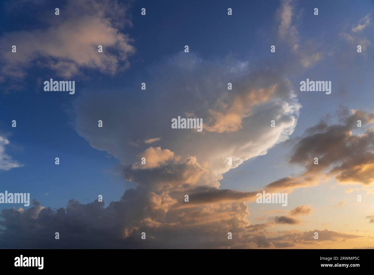 Nuages d'orage dans le ciel au coucher du soleil texture superposition d'arrière-plan. Image cumulonimbus dramatique. Photographie haute résolution parfaite pour le remplacement du ciel Banque D'Images