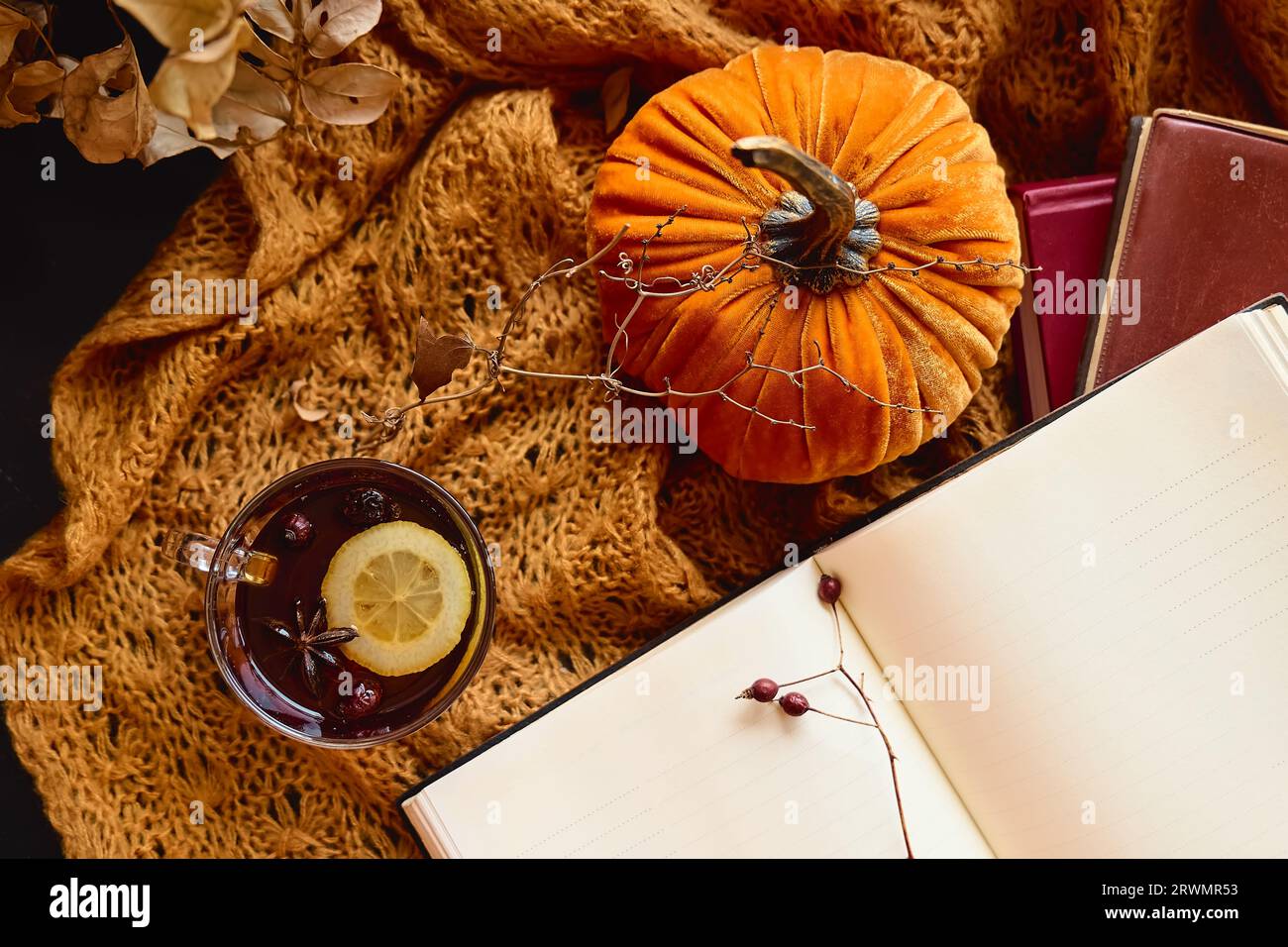 Lecture en saison d'automne. Livre ouvert et tasse de thé sur plaid tricoté avec des feuilles d'automne comme concept de la littérature, de l'apprentissage et de l'éducation, en automne moy Banque D'Images