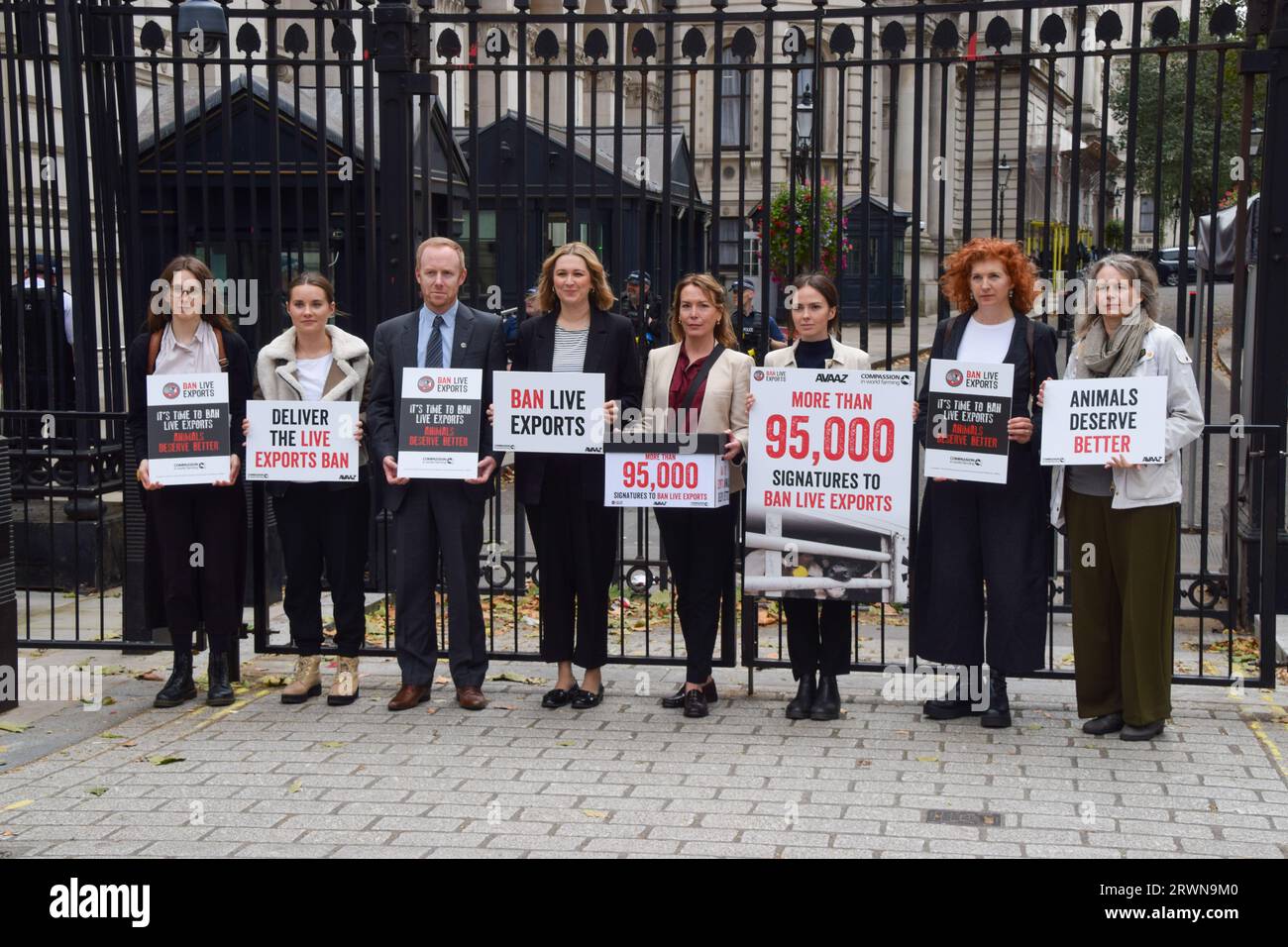 Londres, Angleterre, Royaume-Uni. 20 septembre 2023. Les militants de l'organisation compassion in World Farming se préparent à remettre une pétition, signée par plus de 95 000 personnes, pour interdire les exportations d'animaux vivants. L'interdiction avait déjà été promise par le gouvernement, mais a ensuite été abandonnée dans le cadre du projet de loi sur les animaux conservés. (Image de crédit : © Vuk Valcic/ZUMA Press Wire) USAGE ÉDITORIAL SEULEMENT! Non destiné à UN USAGE commercial ! Banque D'Images