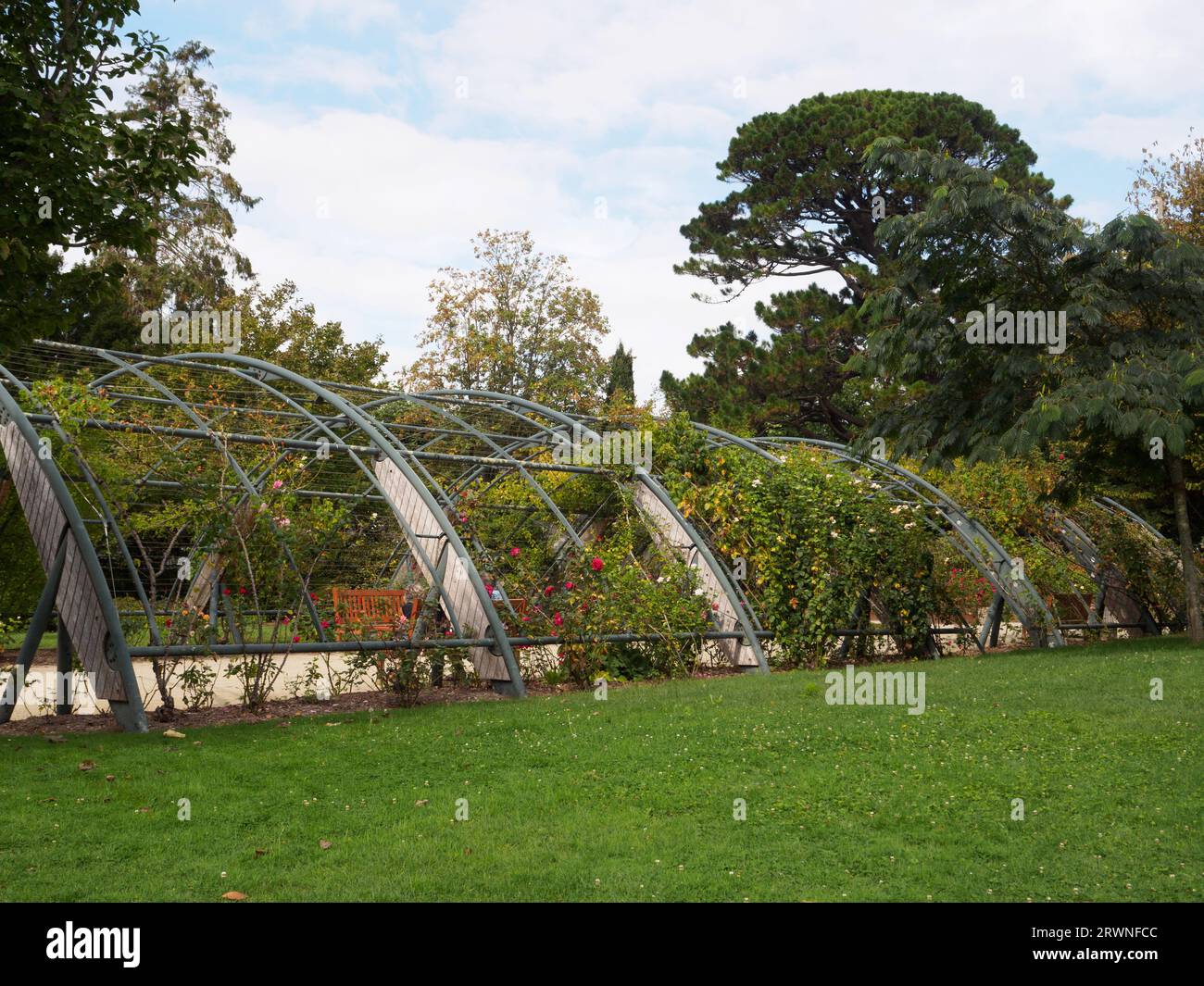 Tunnel des roses, dans le jardin botanique, Saint Nazaire Banque D'Images