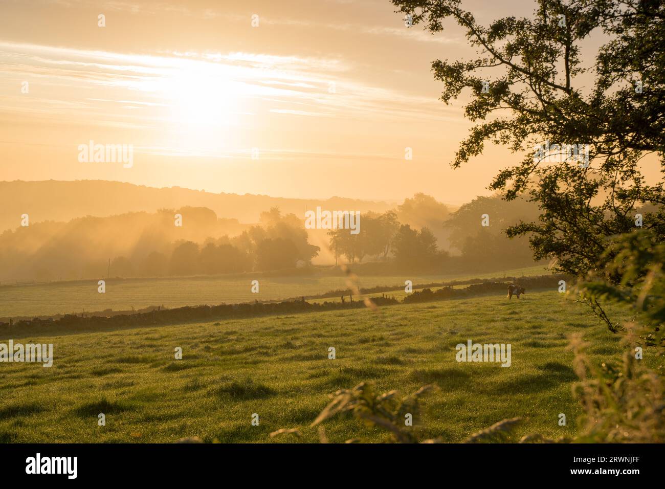 La course montante a traversé une épaisse brume au parc national de Peak District, Angleterre Banque D'Images