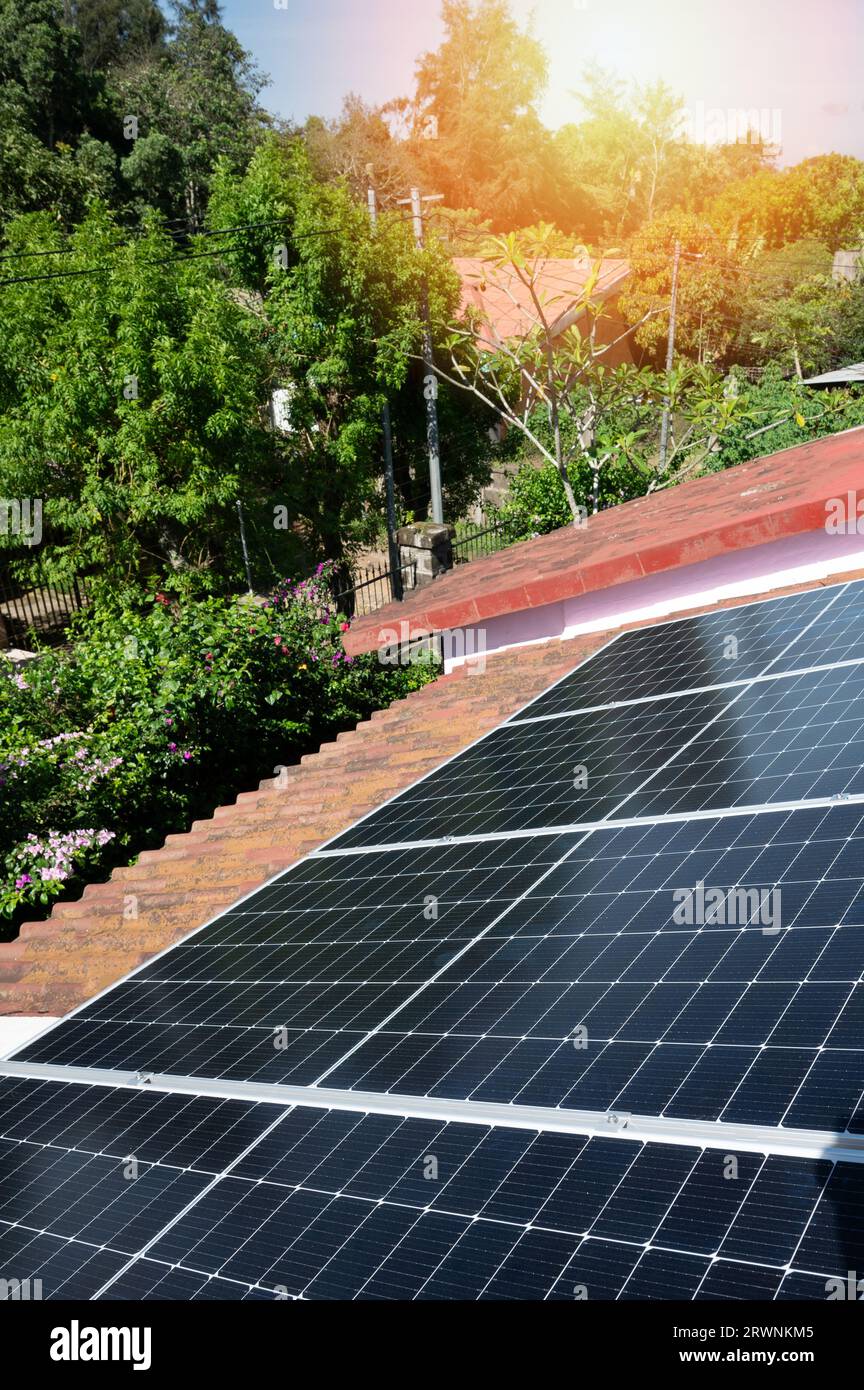 Toit de maison avec panneaux solaires sur fond de jardin vert Banque D'Images