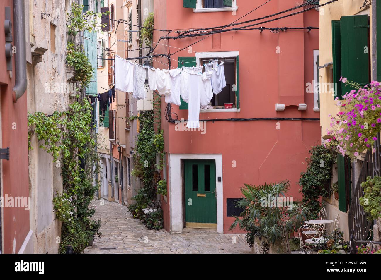 La vieille ville de Rovinj, péninsule d'Istrie, Croatie Banque D'Images