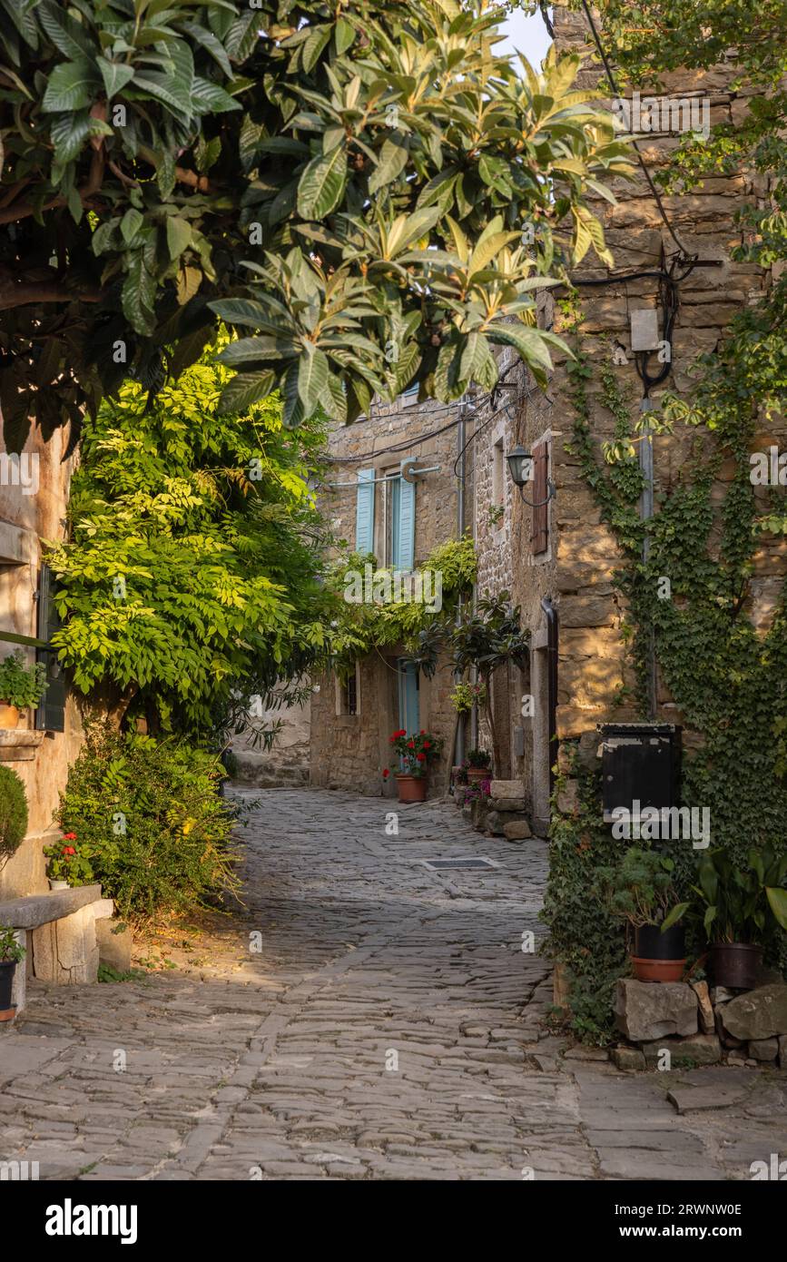 Le beau village de montagne croate Grožnjan dans la région d'Istrie. Banque D'Images