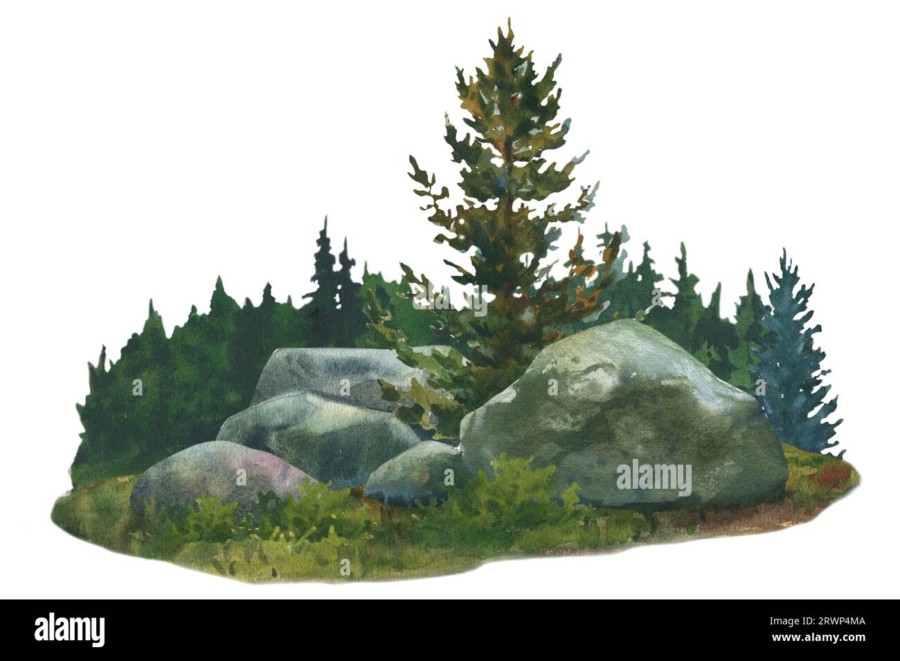 Paysage forestier avec des rochers et des arbres. Illustration d'aquarelle dessinée à la main isolée sur fond blanc. Banque D'Images